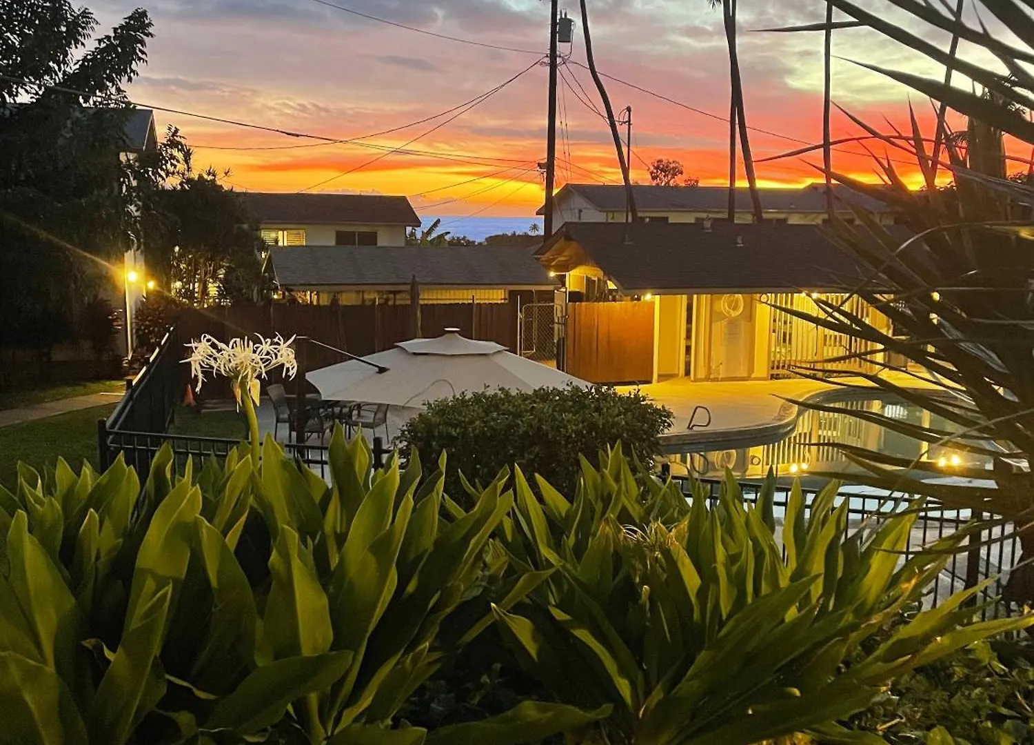 Apartment Your Slice Of Paradise In Kona - Walk To Beach And Stores Kailua-Kona