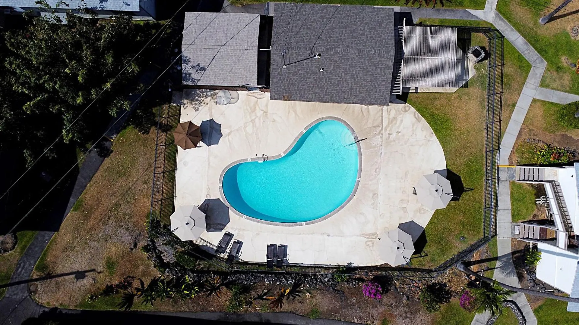 דירה קאילואה-קונה Your Slice Of Paradise In Kona - Walk To Beach And Stores